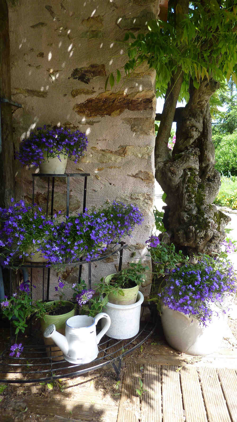 Fleurs, parc, piscine, tout le confort pour un bon repos