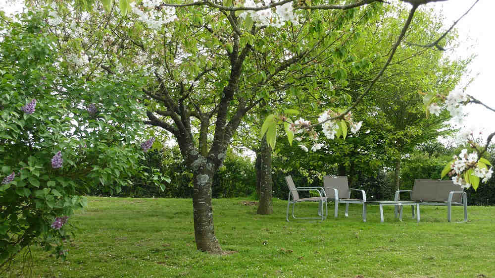 Parc fleuri des chambres d'hôtes pour la détente