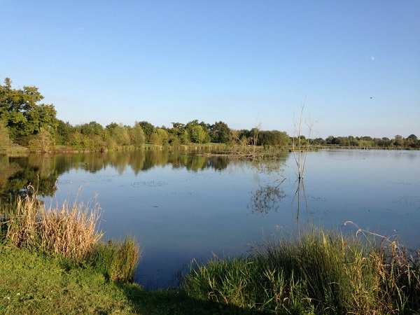 Les étangs de Pescalis, une balade nature à 20 minutes des chambres d'hôtes La Boisnière