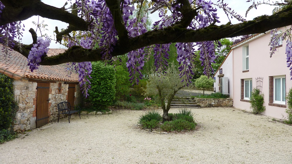 charme de la glycine aux chambres d hotes La Boisnière