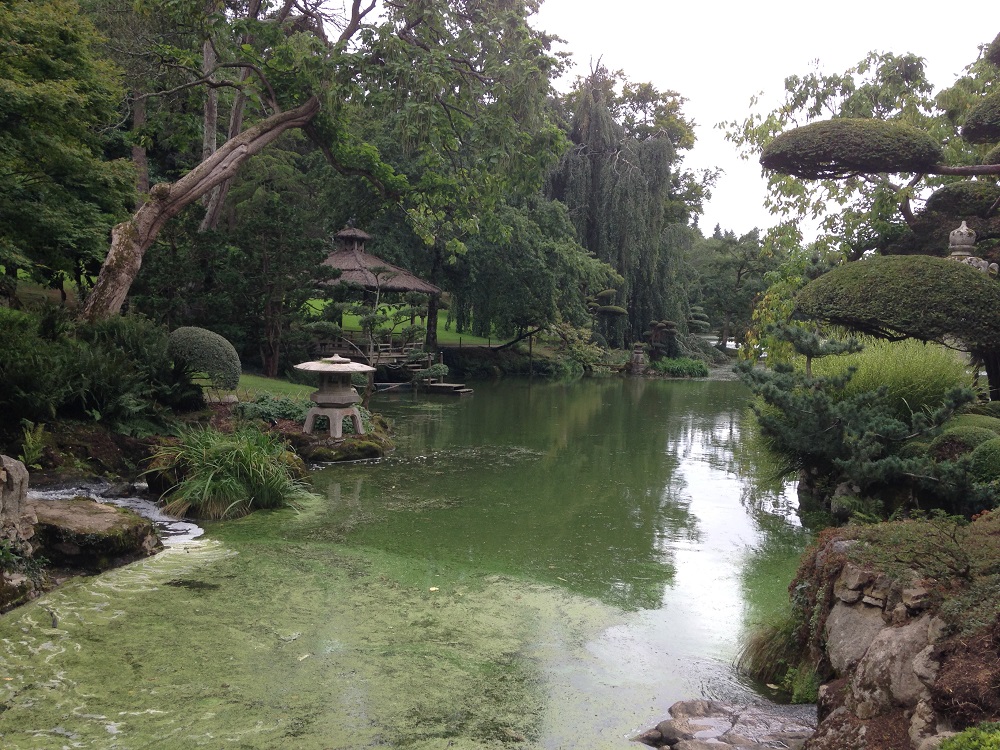 parc oriental de maulevrier