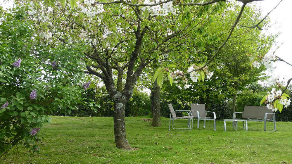 Détente et parc fleuri en location chambre avec piscine près du Puy du Fou Vendée